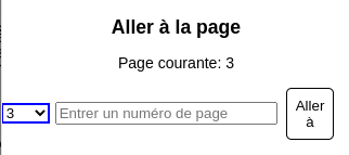 Capture d'écran, Aller à la page. Page courante : 3. Un menu déroulant indique 3, un champ éditable indique Entrer un numéro de page, un bouton indiquer Aller à.